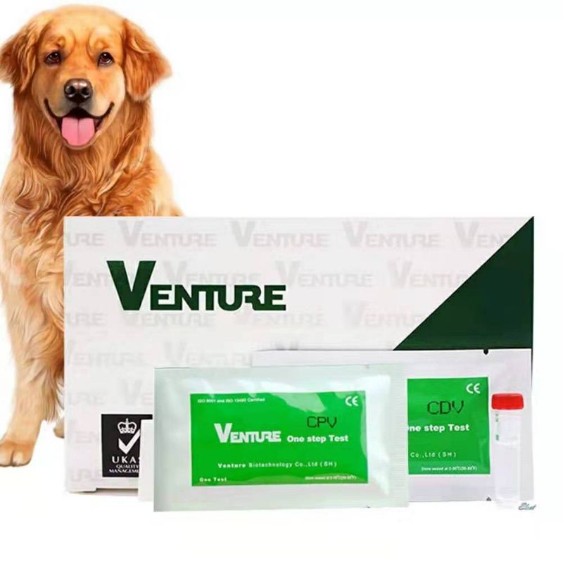 Dog Canine Parvo and Distemper Test kit ON HAND Shopee Philippines