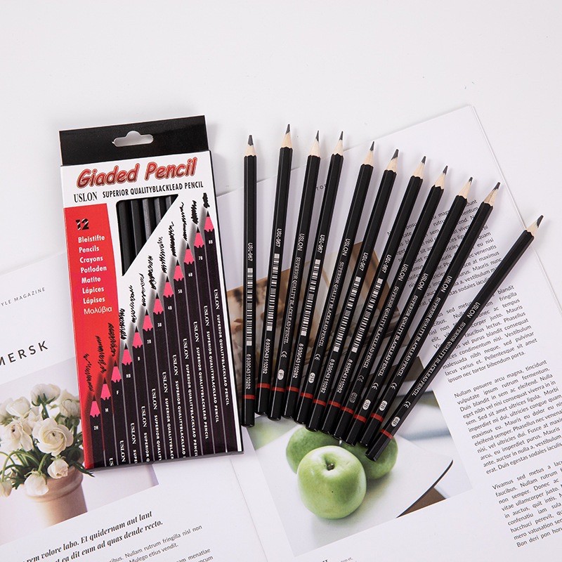 12 PCS Wooden Lead Pencils Set 2H8B Professional drawing Journal