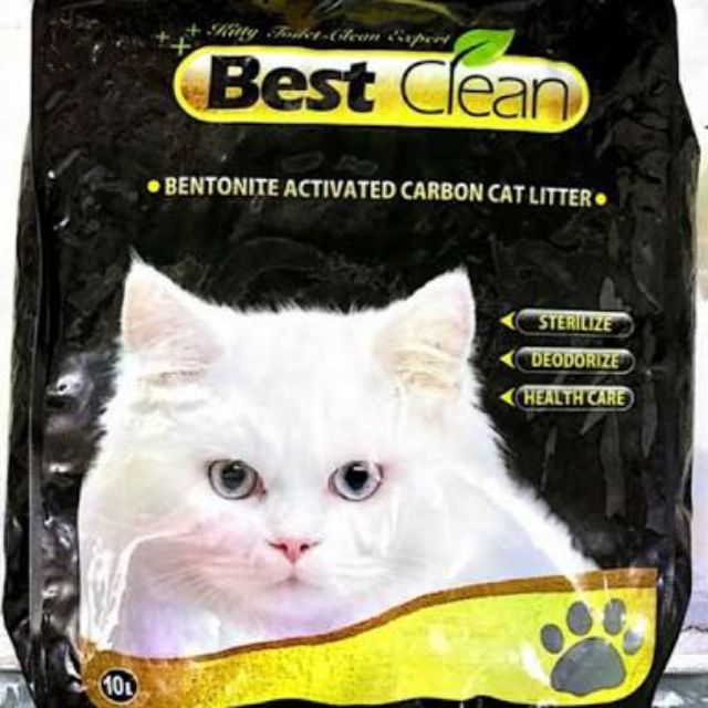 easiest way to clean cat litter