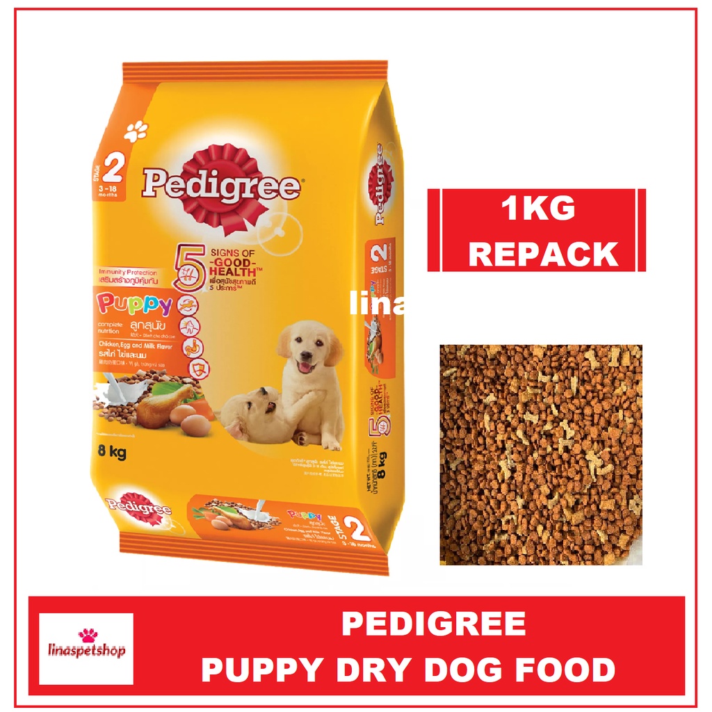 what-is-a-pedigree-puppy