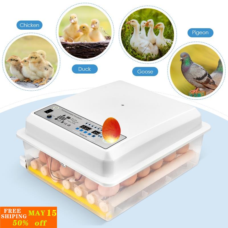 Eggs Incubator Digital Automatic Thermostat Egg Hatching Machine Fully
