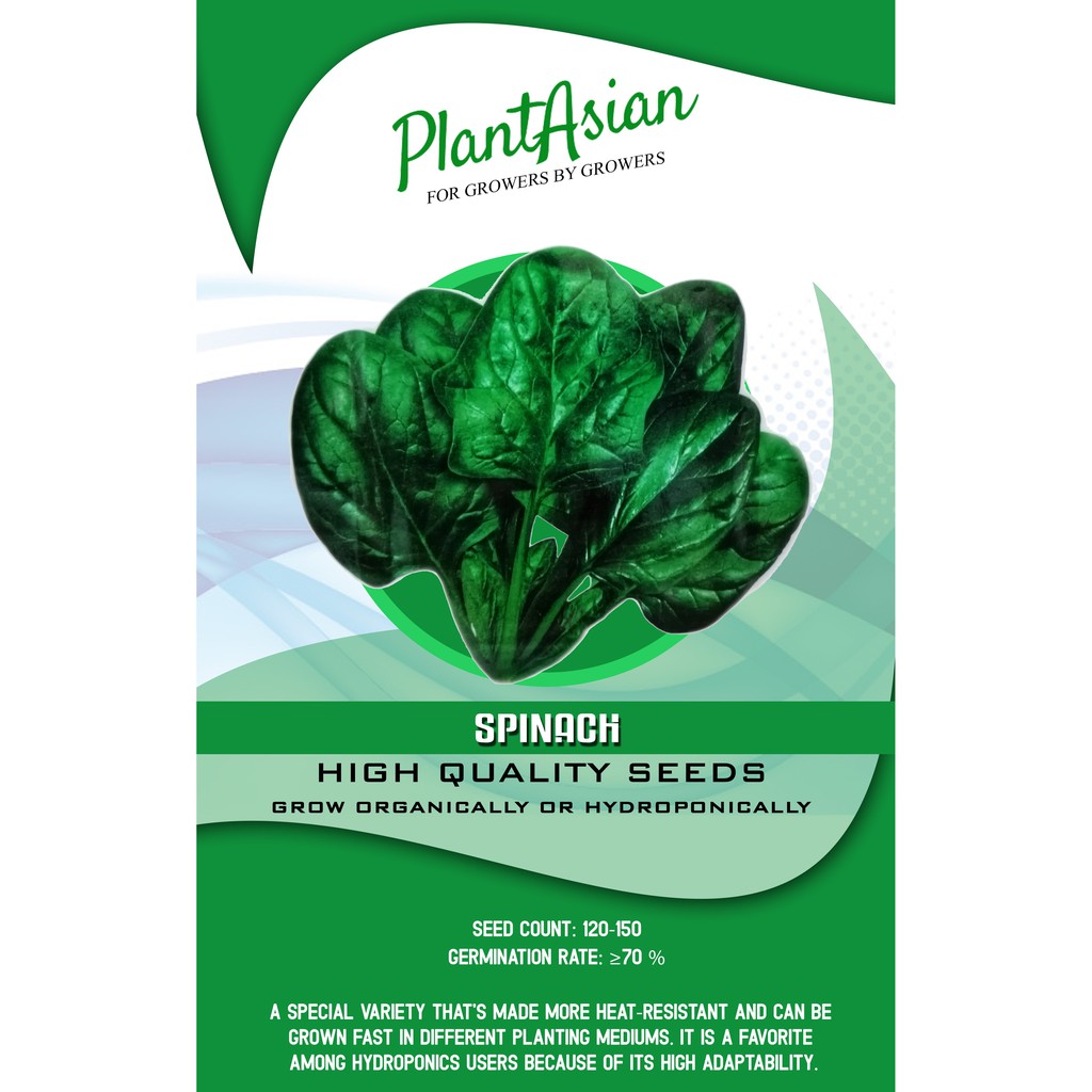 SPINACH SEEDS (120 to 150 seeds) Shopee Philippines