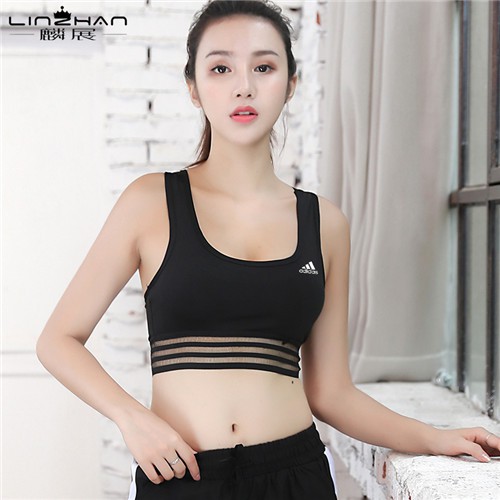 adidas sports bra price