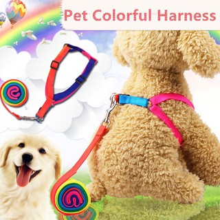 27Pets Colorful Rainbow Pet Dog Collar Harness Leash Soft Walking Harness Lead Colorful and Durable Traction Rope Nylon 120cm
