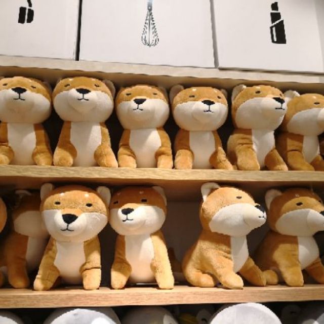 miniso shiba