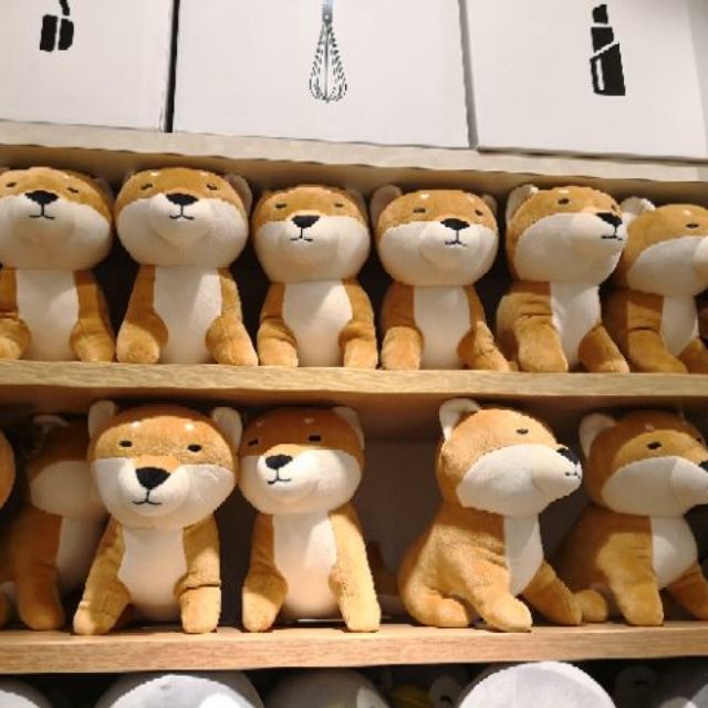 miniso shiba inu