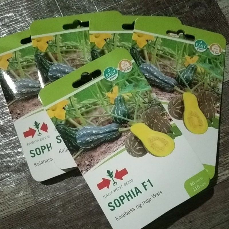 SQUASH SEEDS (SOPHIA F1 VARIETY) Shopee Philippines