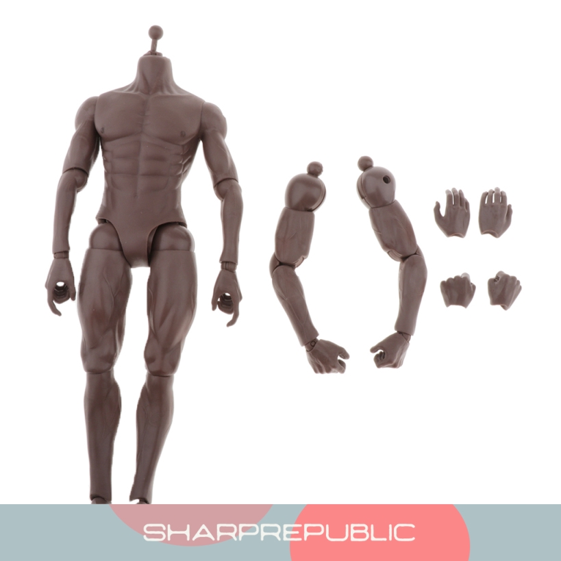 1/6 Scale Narrow Shoulder Muscular Male Body For 12" Figure Hot Toys Phicen Doll