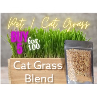 PET CAT GRASS Seeds 100grams