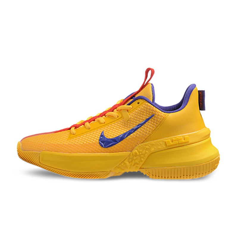 lebron yellow and purple