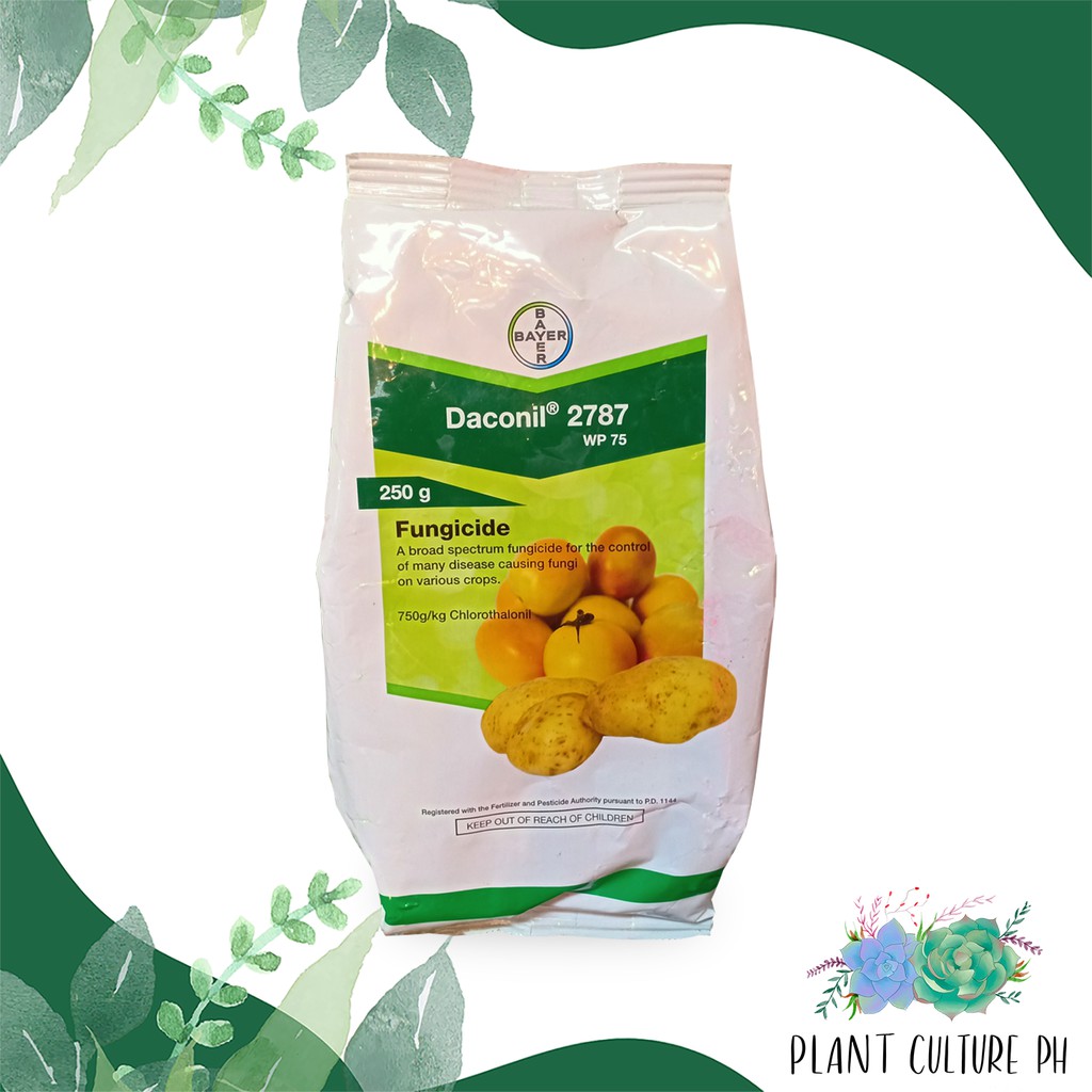 Bayer Daconil 2787 WP 75 Fungicide 250g Shopee Philippines