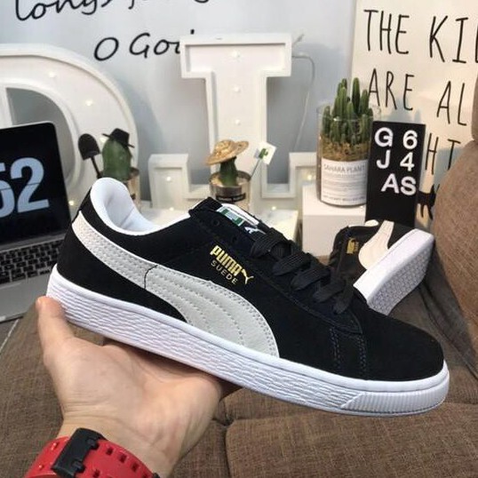 puma esito tt