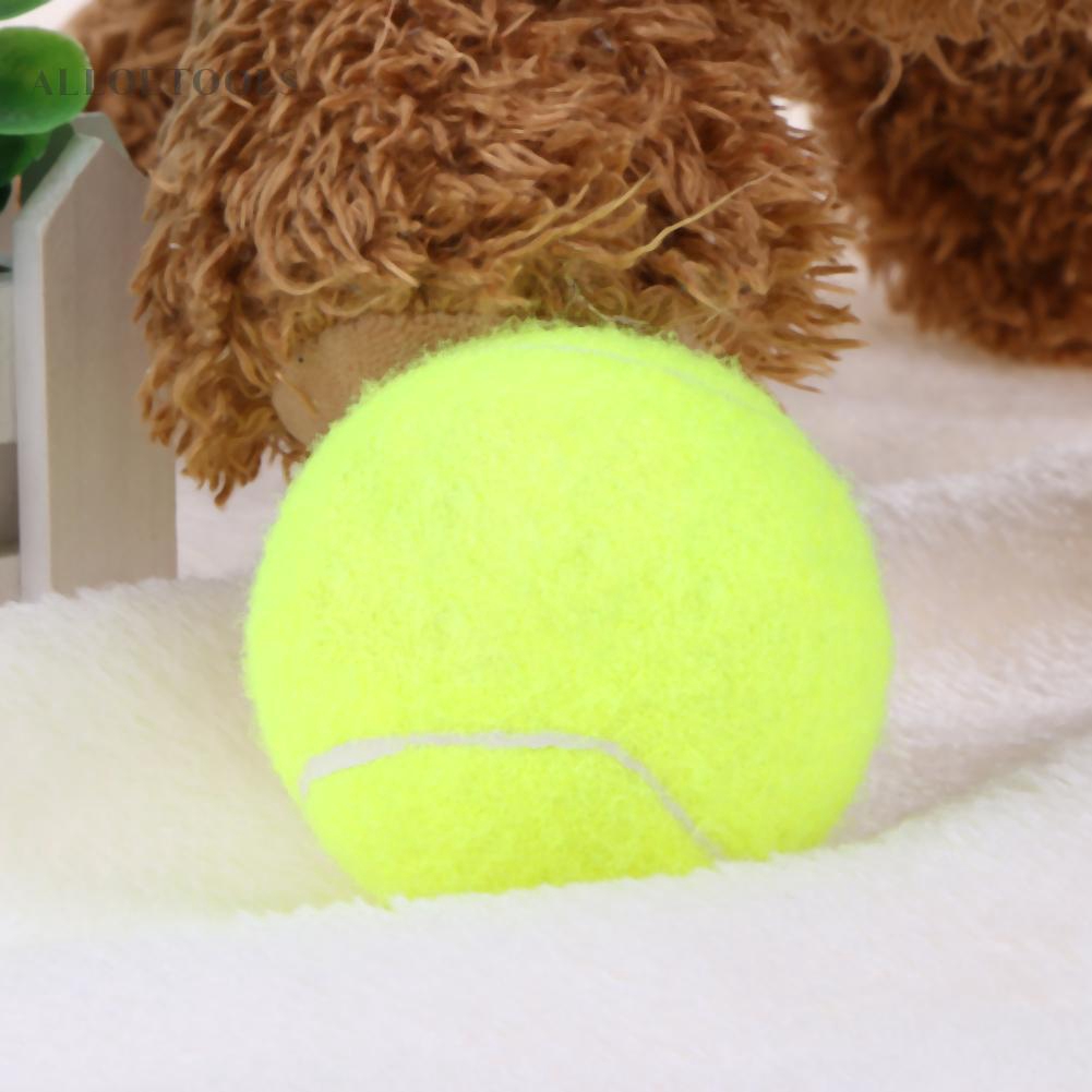 24cm tennis ball