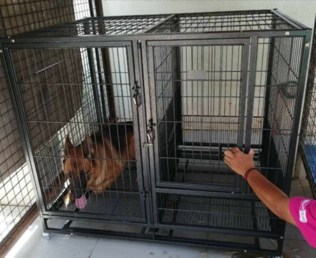 dog cage partition