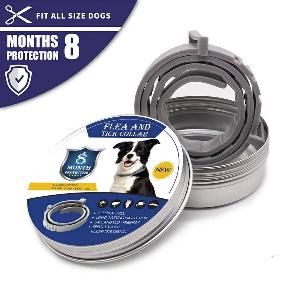 dog tick belt