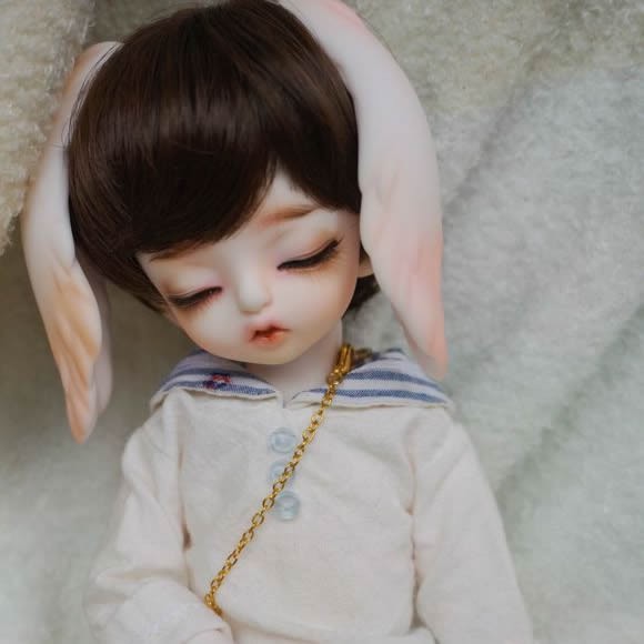 bunny bjd