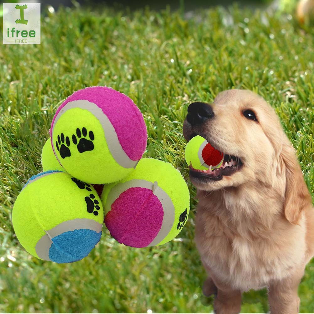 dog equipment for sale