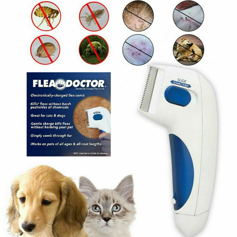 doctor flea comb