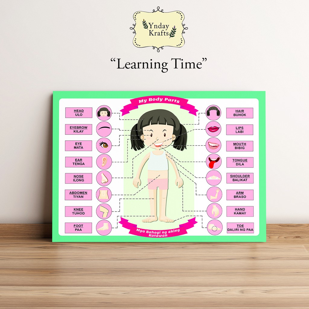 Educational Body Parts EnglishTagalog Chart for Children (Girl/Boy) A4 size laminated