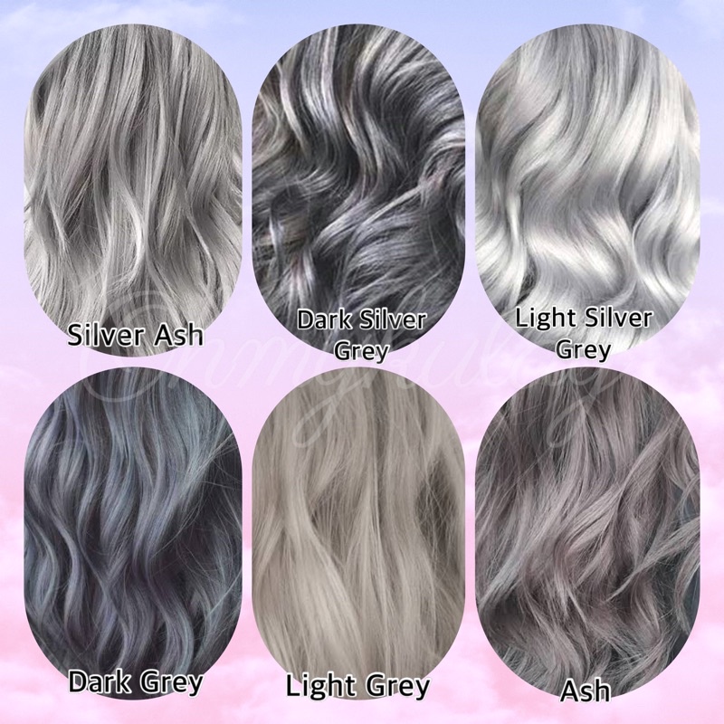 Ash/Grey Series Permanent Hair Dye Set (No Bleach Included) Shopee