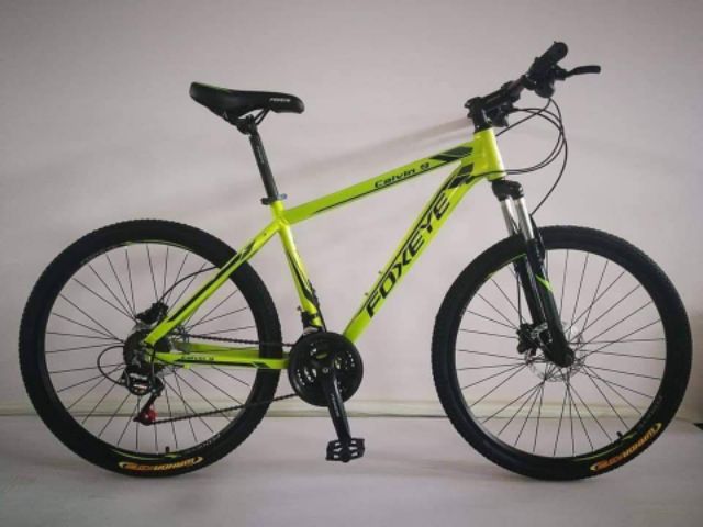 foxeye bike 29er