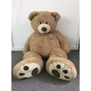 5 feet teddy bear at low price