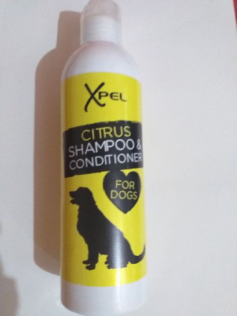 blueberry scented dog shampoo