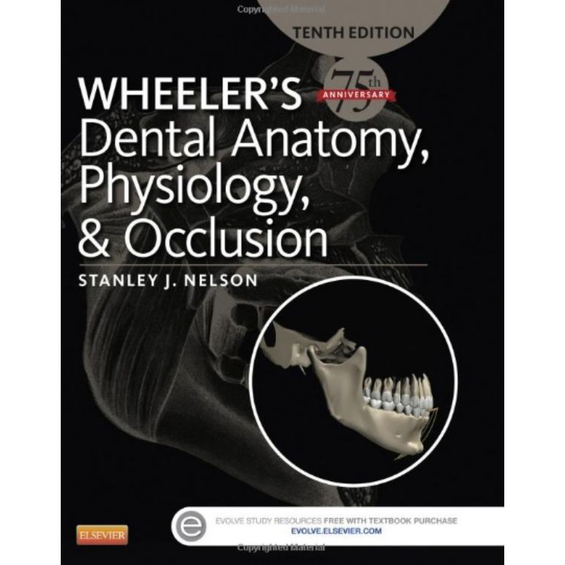 Wheeler's Wheelers Dental Anatomy, Physiology & Occlusion | Shopee ...