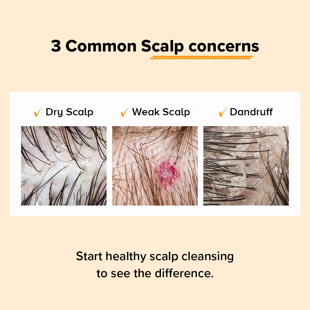 [GRAFEN] Bloom Sense Perfume Shampoo 500ml [Long Last Sweet Lemon