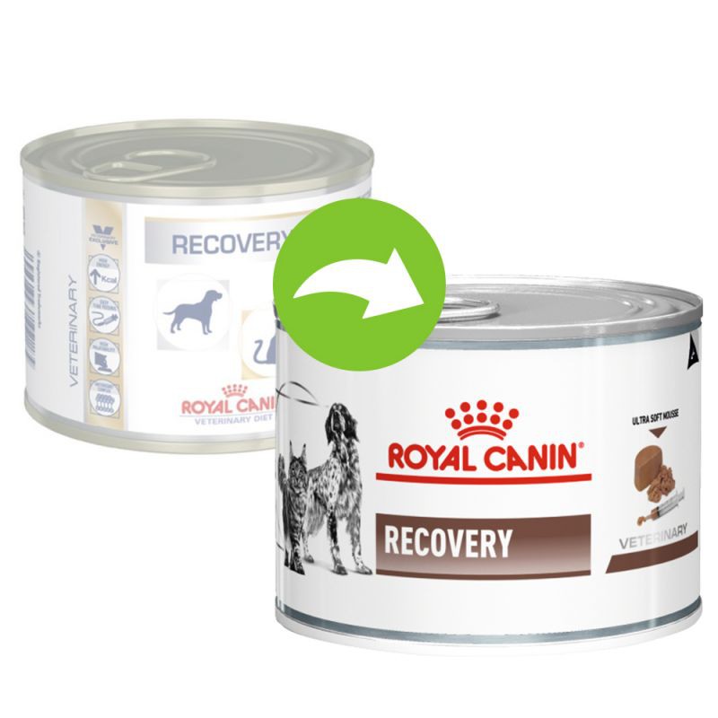 Royal Canin Veterinary Recovery Dog & Cat Mousse (12 x 195 g