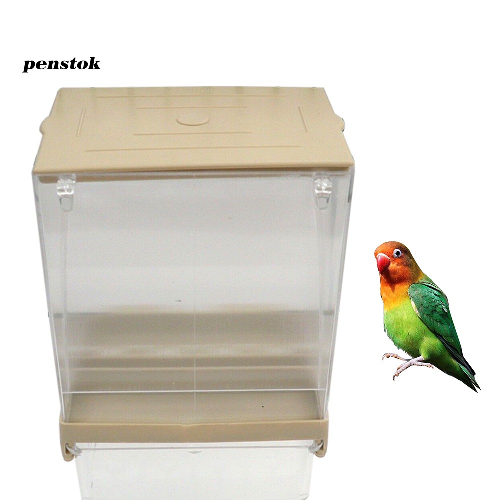 Ready Stock Bird Pet Seed Gravity Feeder Parrot Pigeon Splash