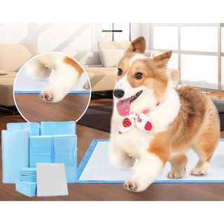 Cocoyo Pet Training Pads Promo Pack Pee Pad for Dogs and Cats and Animals