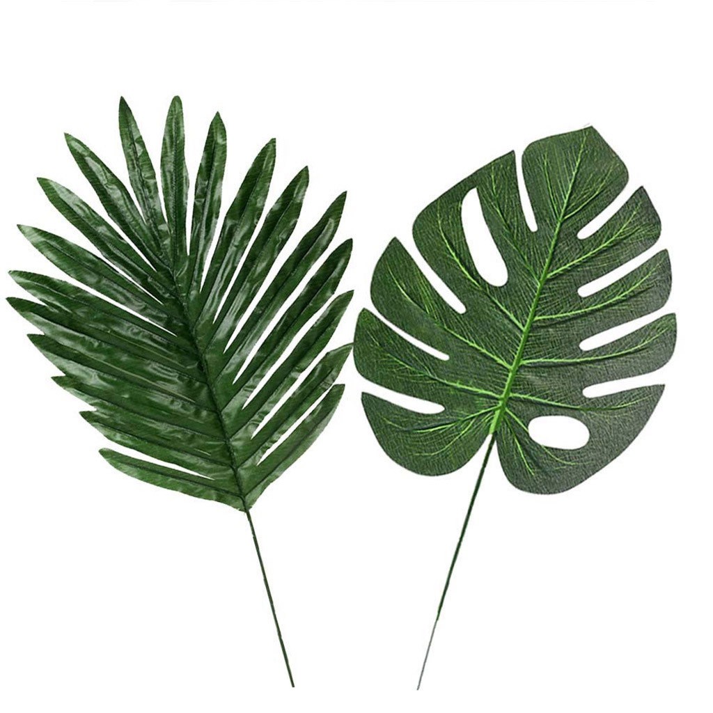 лист пальмы хамедорея. тропические листья. как называются листья пальмы. финиковая пальма вайя.