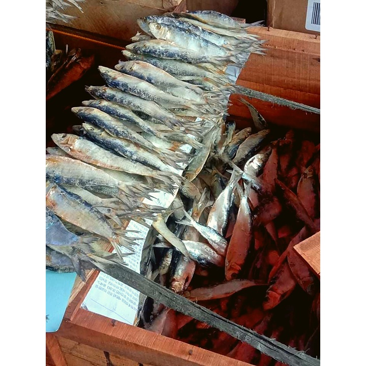 Dried Fish/Tuyo (Salinas) Shopee Philippines