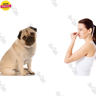 Bearing Bad Smell Bye Bye Spray 600ml for Dogs (agr) Dog Odor Removerpet powder #3