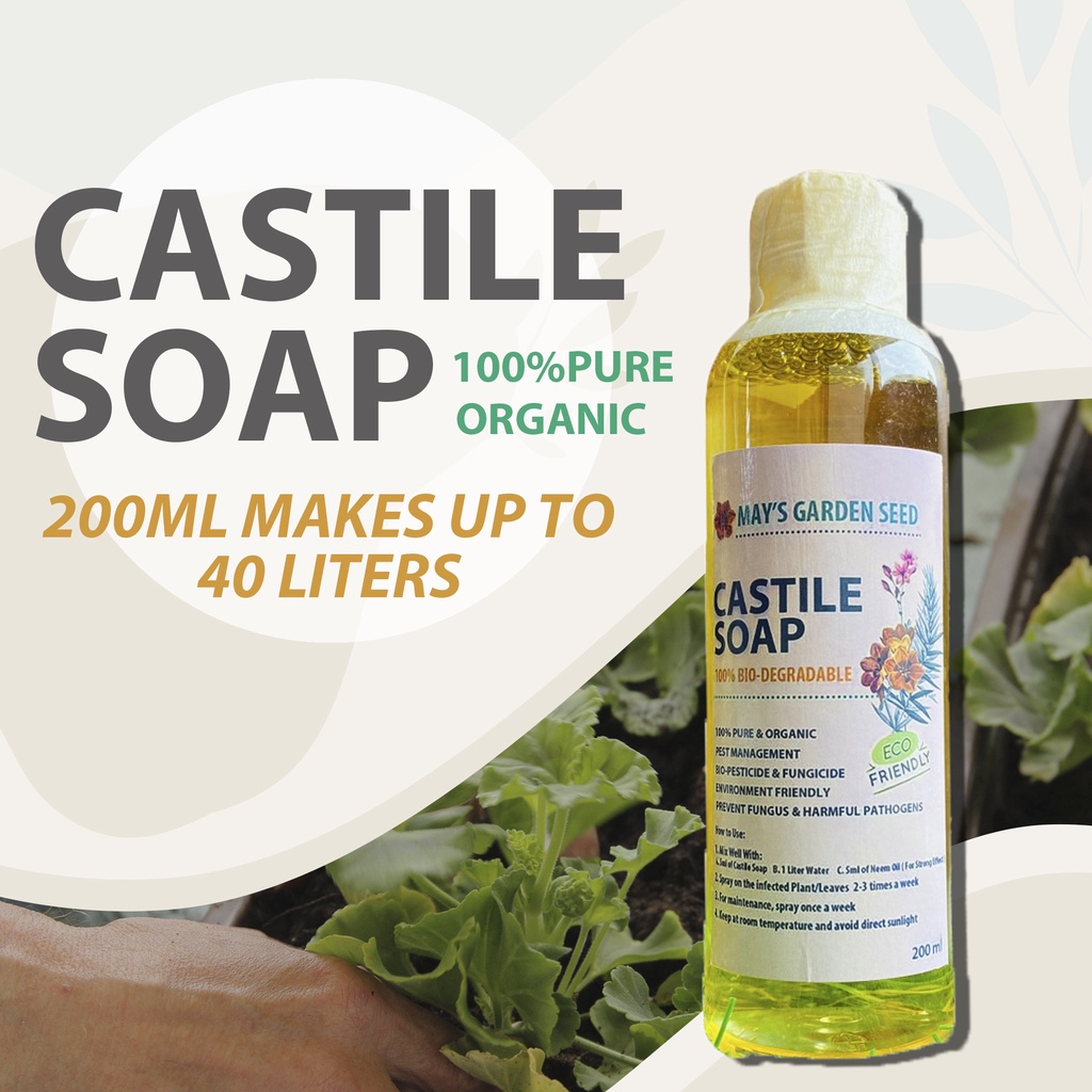 Castile soap for plants information
