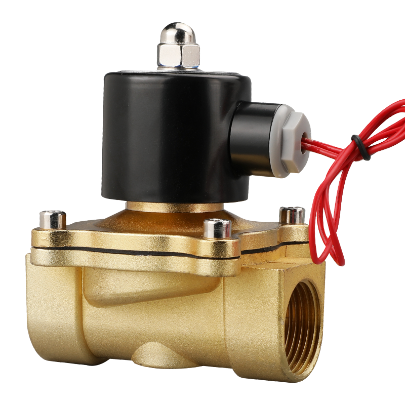 Two Way Electric Solenoid Valve Normally Closed G1 1/4 1/2 G2 220V 12V 24V 110V For Water Air DN25 32 40 50