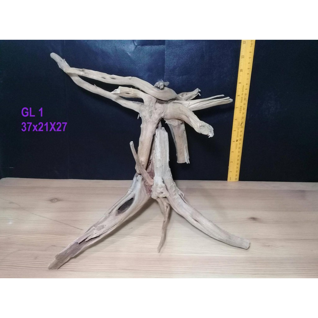 Driftwood Tweety Wood Gl1 For Aquariums Aquascapes Betta Tanks Nano Tanks Planted Tanks Shopee Philippines