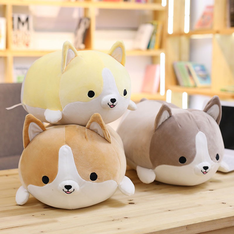 corgi stuffed toy miniso