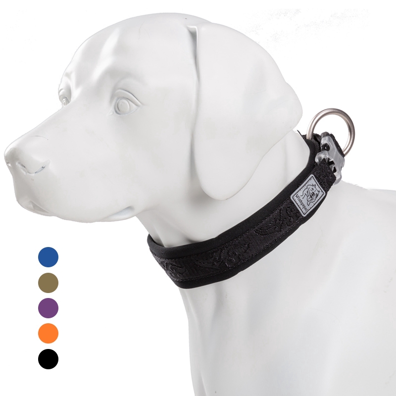 heavy duty dog collars and leashes