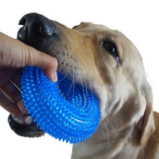 Dog Toys Thorn Circle Pet Sound Chew For Large Dogs Ring Squeak Interactive