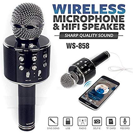 speaker with microphone for karaoke