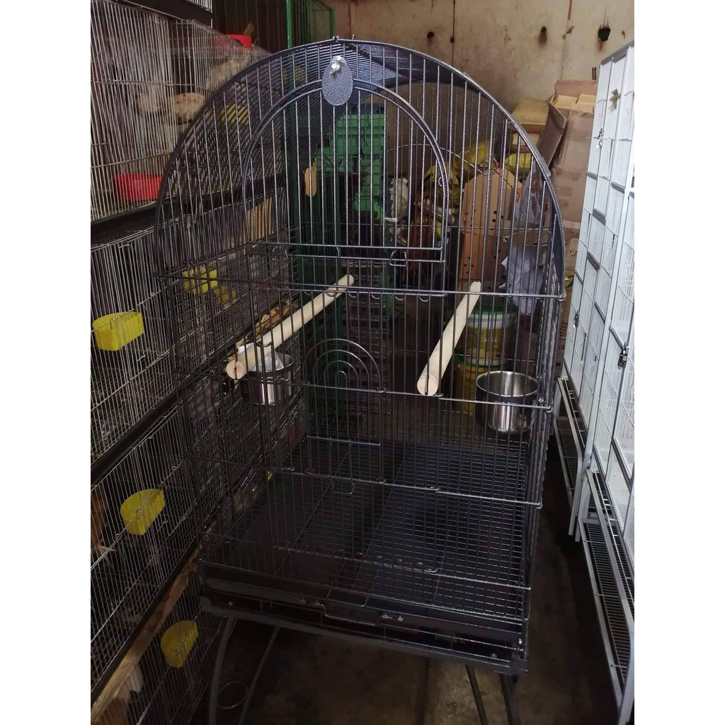 where to buy bird cages