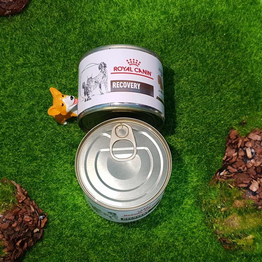 Royal Canin Recovery Canned Wet Food for Dogs and Cats (195g) Shopee