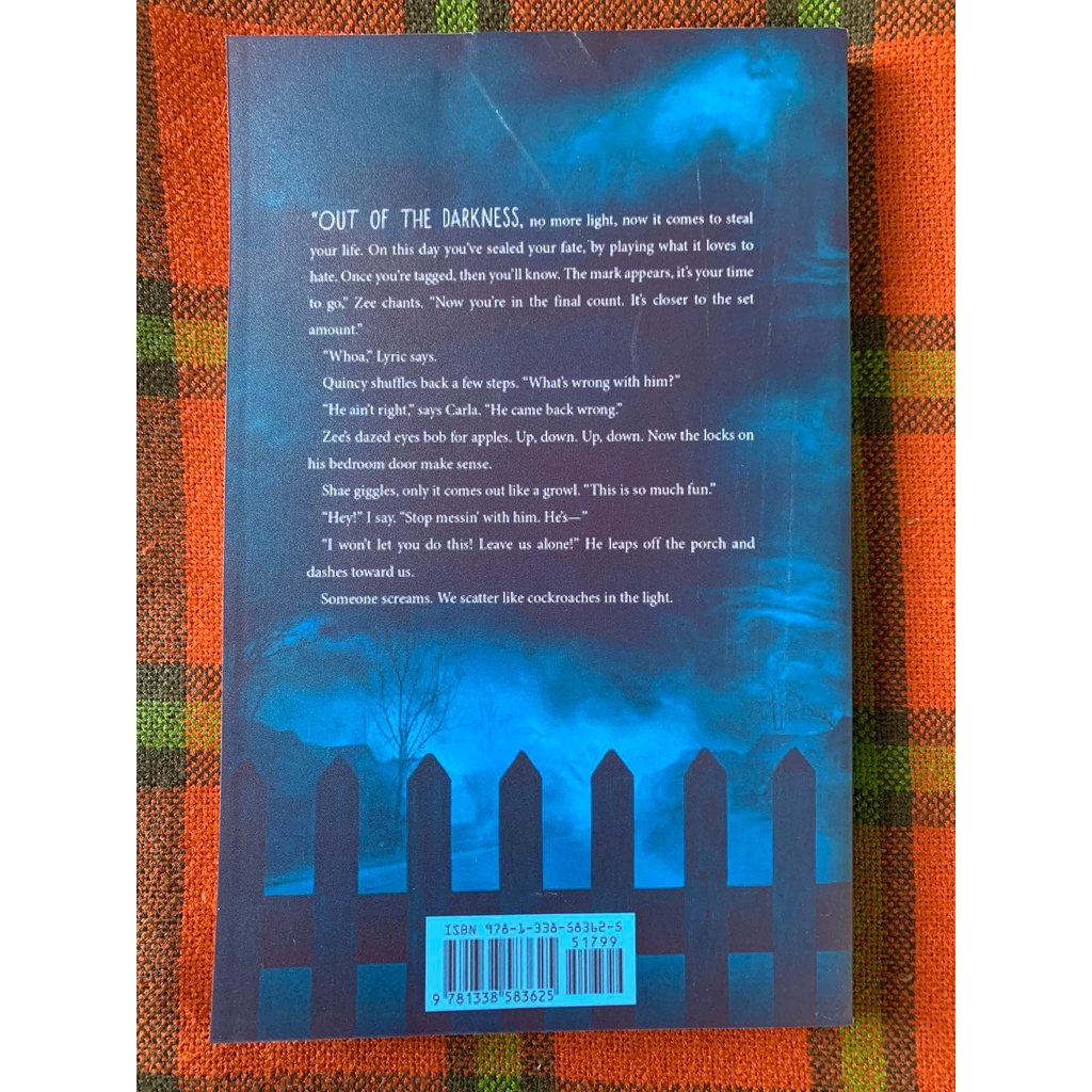 Hide and Seeker (Paperback)