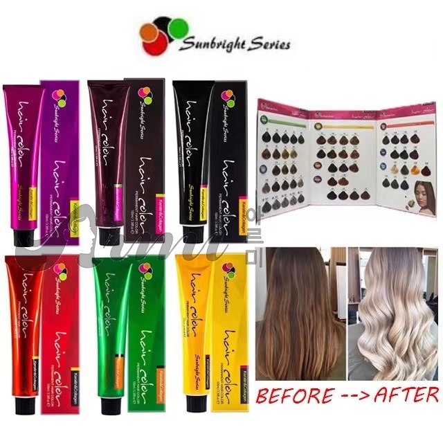 Sunbright Series Hair Color Hair Dye Hair Coloring Cream 100ml (No Oxidizer) Shopee Philippines
