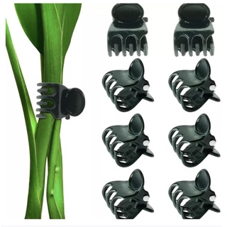20 PCS Gardening Dark Green Plant Clips 6-Claw Orchid Flowers Support Clamp Climbing Vine Stem Clasp #1