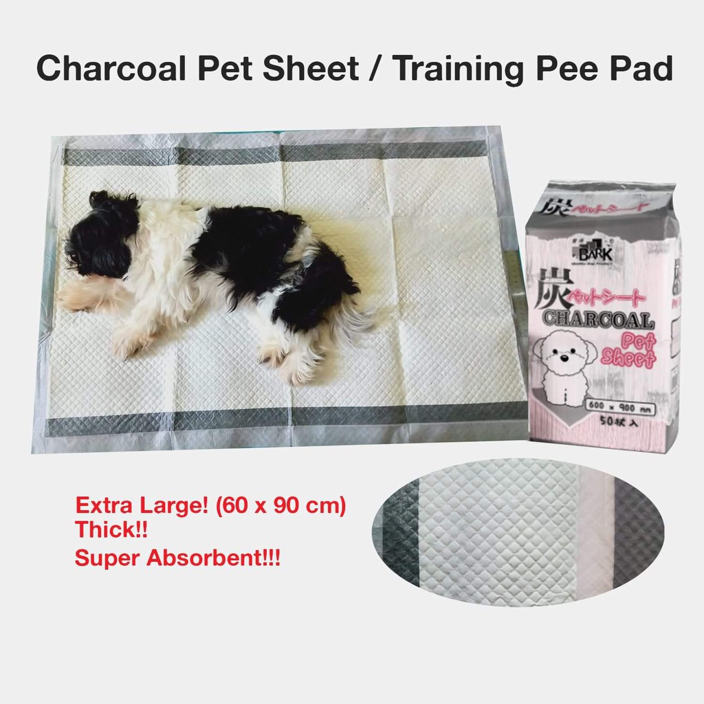 How Can I Bring My Dog From Philippines To Singapore