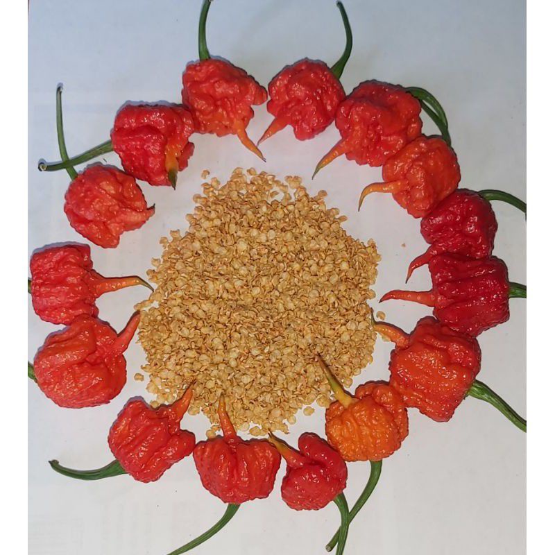 Carolina Reaper seeds 15pcs at iba pa. Shopee Philippines