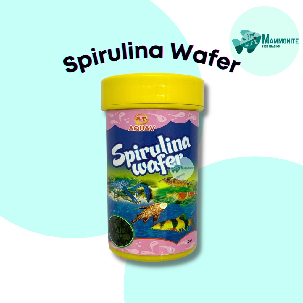Aquarium AQUAV Fish Spirulina Wafer Color Enhancer Vitamins 100mL